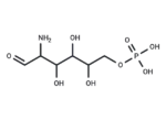 D-Glucosamine 6-phosphate