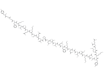β-Endorphin, human