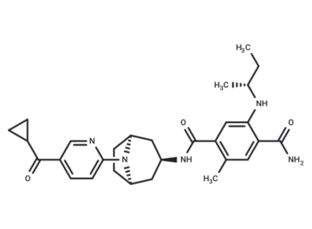XL888