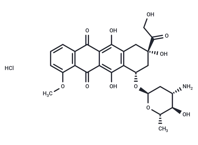Epirubicin hydrochloride CgoaEGayIC ETZkKAAAAAI2Nv00837- Immunomart