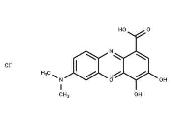 Gallocyanine