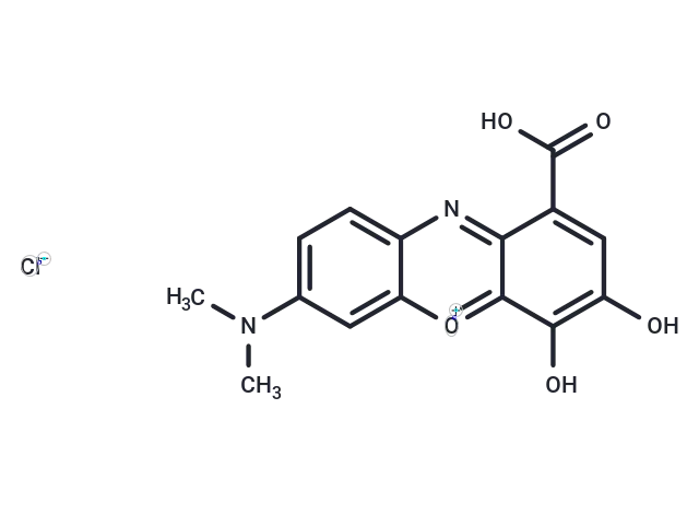 Gallocyanine