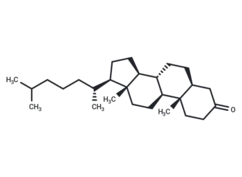 5α-Cholestan-3-one