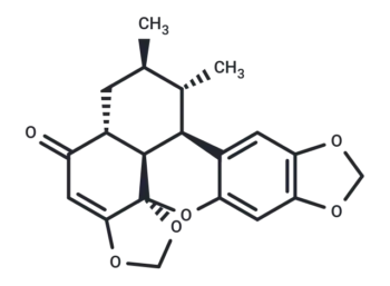 Sauchinone