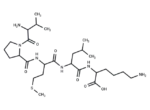 Bax inhibitor peptide V5