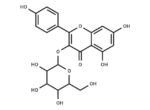 Astragalin
