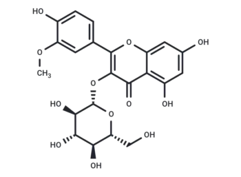 Isorhamnetin-3-O-glucoside