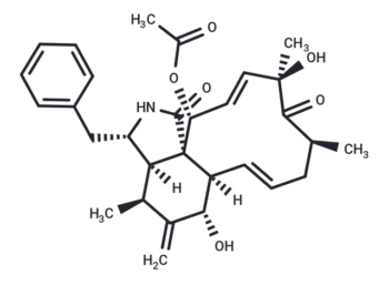 Cytochalasin D