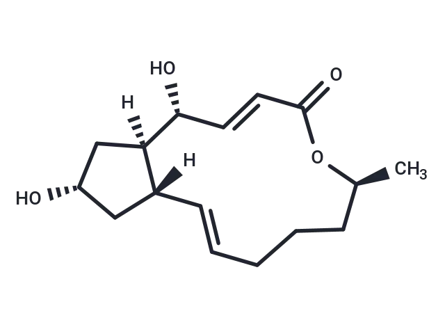 Brefeldin A - Immunomart