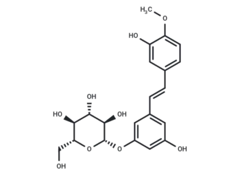 Rhapontin
