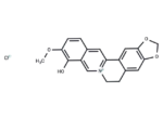 Berberrubine chloride