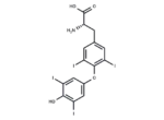 L-Thyroxine