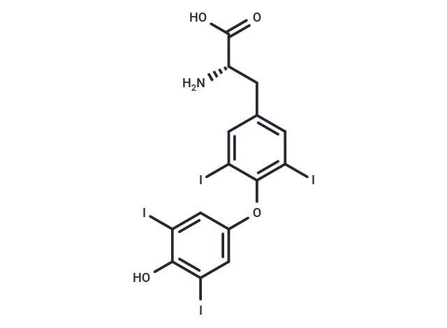 L-Thyroxine
