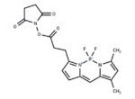 BODIPY-FL NHS ester