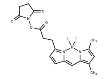 BODIPY-FL NHS ester