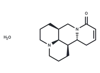 Sophocarpine monohydrate