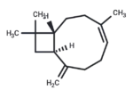 β-Caryophyllene