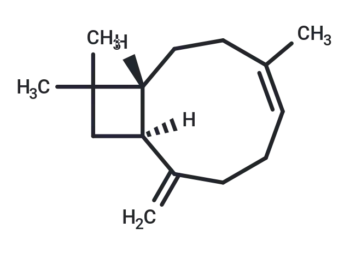 β-Caryophyllene