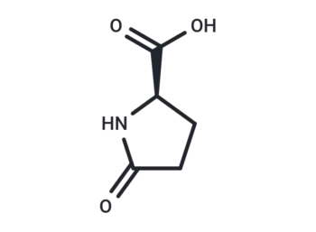 (R)-5-Oxopyrrolidine-2-carboxylic acid