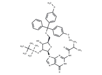 5'-O-DMT-2'-O-iBu-N-Bz-Guanosine
