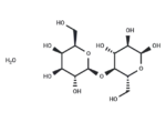 α-Lactose hydrate