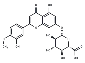 DiosMetin 7-O-β-D-Glucuronide