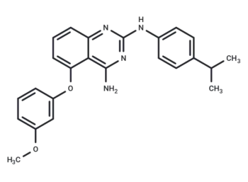 Yhhu-3792