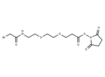 Bromoacetamido-PEG2-C2-NHS ester