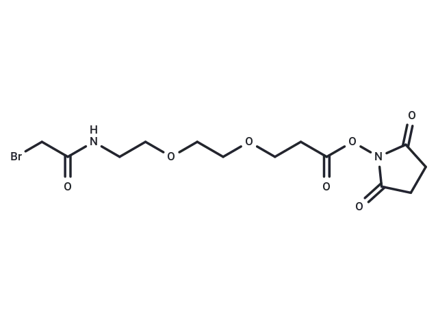 Bromoacetamido-PEG2-C2-NHS ester