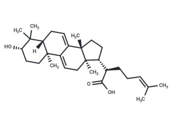 3-Dehydrotrametenolic acid