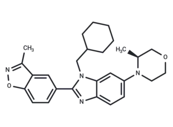 Y06137