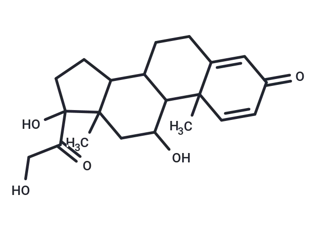 Prednisolone - Immunomart
