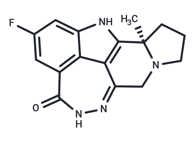 Pamiparib