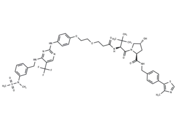 PROTAC FAK degrader 1