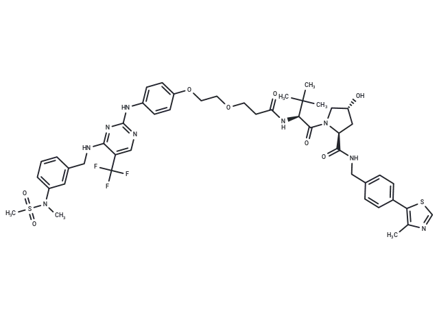 PROTAC FAK degrader 1