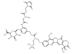 MAC glucuronide phenol-linked SN-38