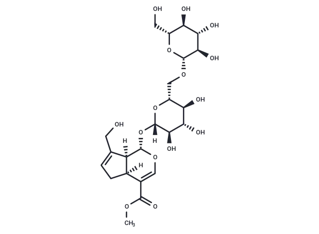 Genipin 1-β-D-gentiobioside Genipin 1-β-D-gentiobioside