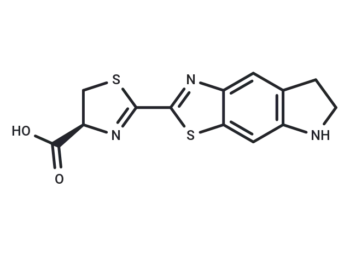 CycLuc1