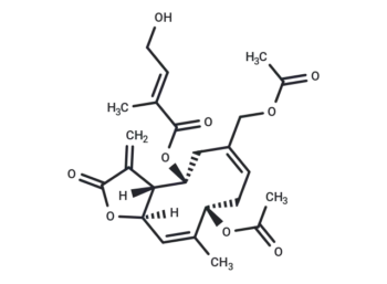 Eupalinolide A