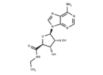5'-N-Ethylcarboxamidoadenosine 1 5′-N-Ethylcarboxamidoadenosine