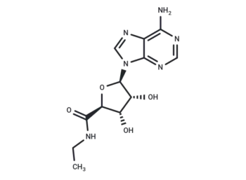 5'-N-Ethylcarboxamidoadenosine