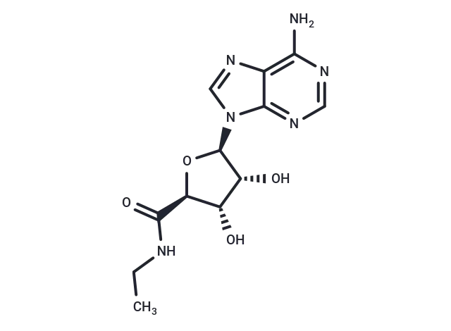 5'-N-Ethylcarboxamidoadenosine 5'-N-Ethylcarboxamidoadenosine
