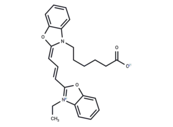 Cy2