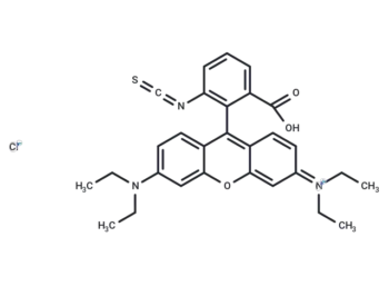 RBITC [Rhodamine B 5-isothiocyanate]