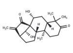 Glaucocalyxin A 1 Glaucocalyxin A