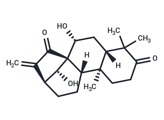 Glaucocalyxin A CgoaEGayNXOEO waAAAAAB2ioF8230- Immunomart