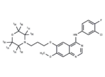 Gefitinib-d8
