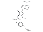 O-Propargyl-Puromycin