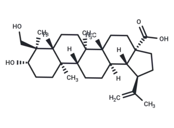 23-Hydroxybetulinic acid