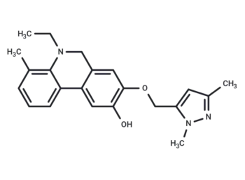 Wnt/β-catenin agonist 1